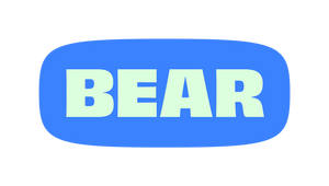 bearmattress.com Coupons