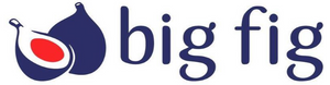 bigfigmattress.com logo