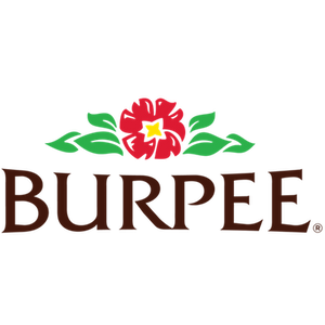 burpee.com Coupons