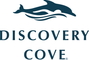 discoverycove.com Coupons