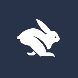 runinrabbit.com logo